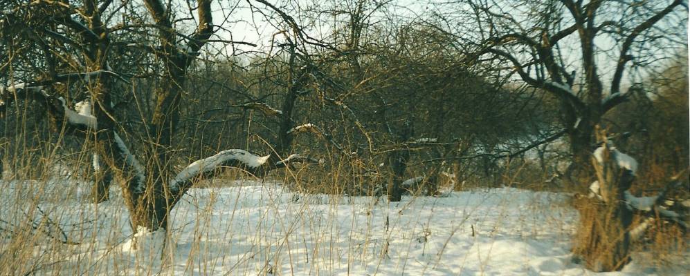 Фотография Малого Очкасово