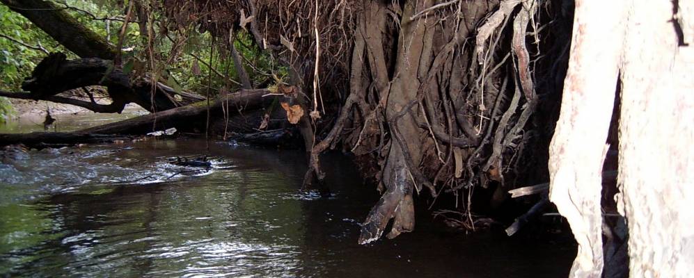 
            Фотография Будьково