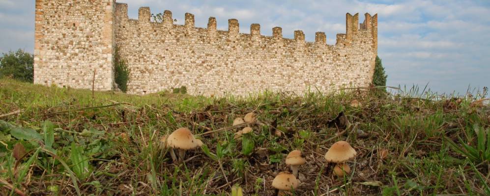 
            Фотография Паденге-суль-Гарды