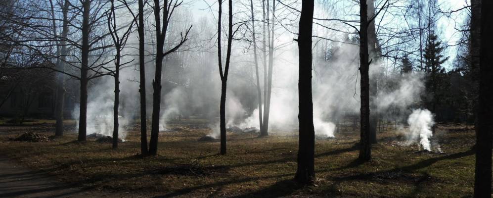 
            Фотография Дружноселья