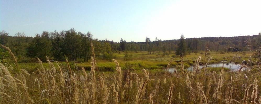 
            Фотография Селянкино