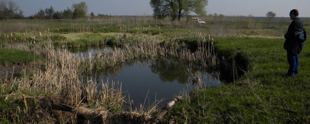 Фотография Маловидного