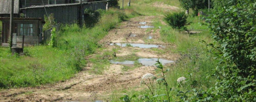 
            Фотография Доровицы