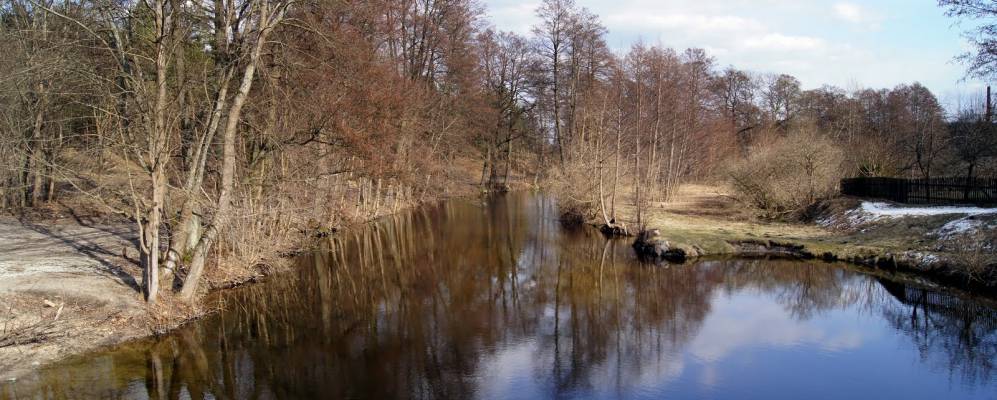 
            Фотография Спыхово