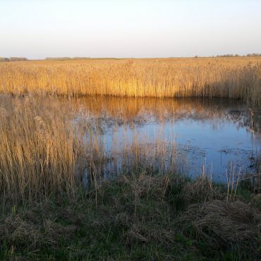 Верхний Сускан