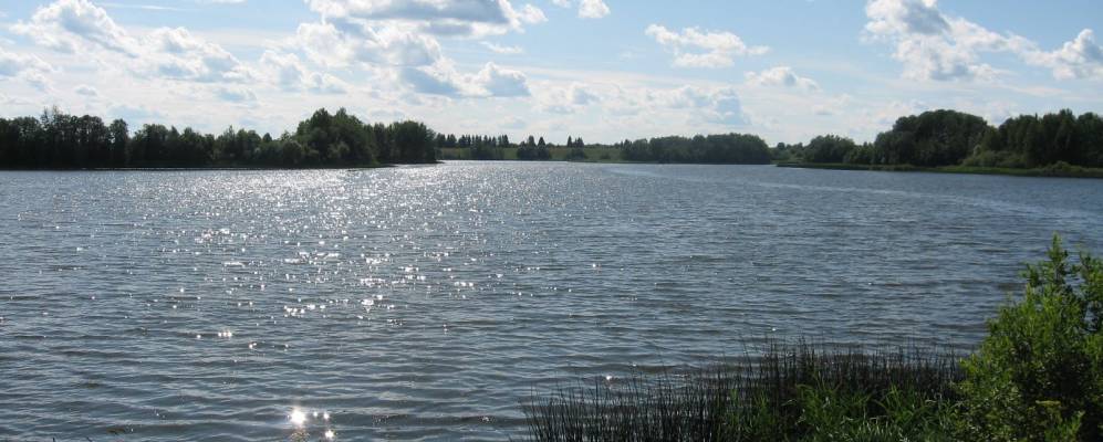 
            Фотография Шортино