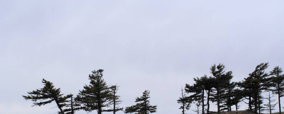 
            Фотография Луполово