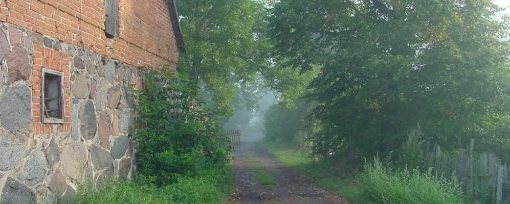 
            Фотография Маршальского