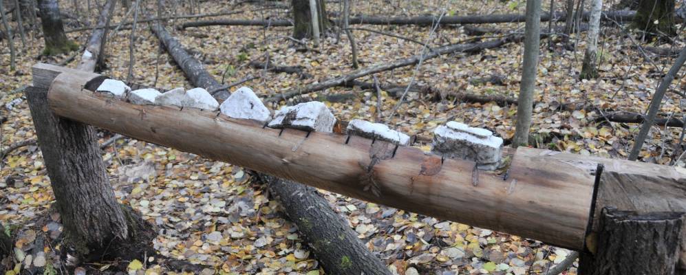 
            Фотография Красной Нови