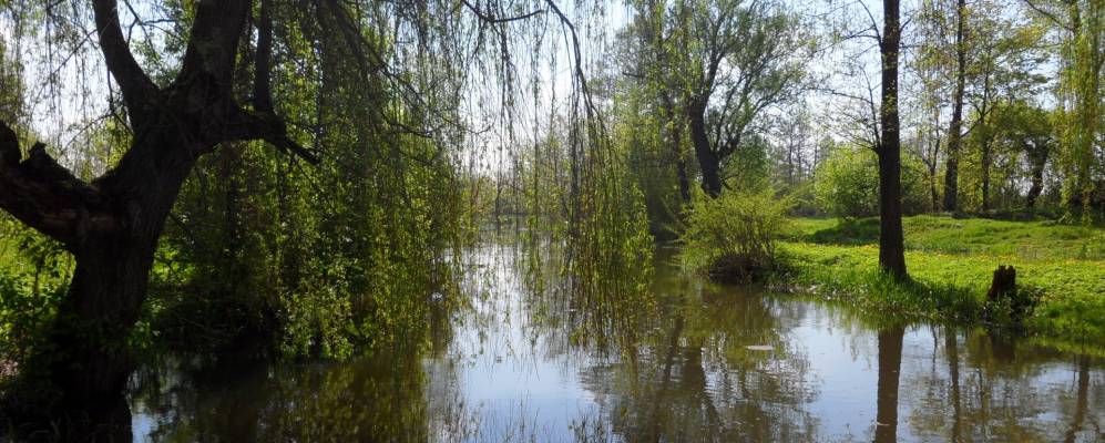 Фотография деревни Станевичи