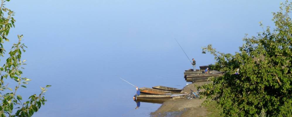 
            Фотография Бронного