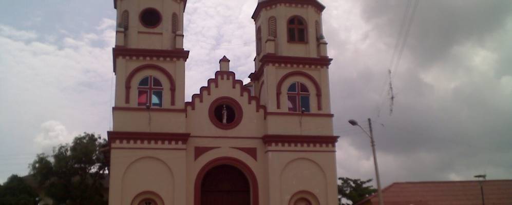 
            Фотография Манати