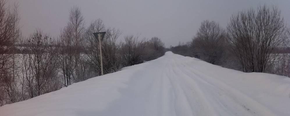 Фотография Селезневых