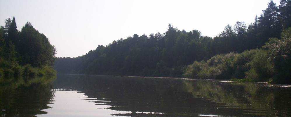 
            Фотография Ошмаша