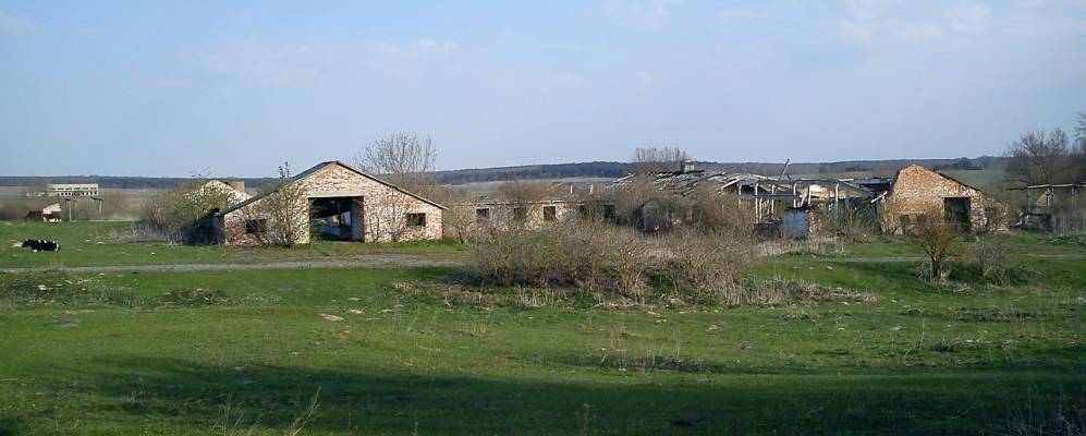 
            Фотография Корытницы