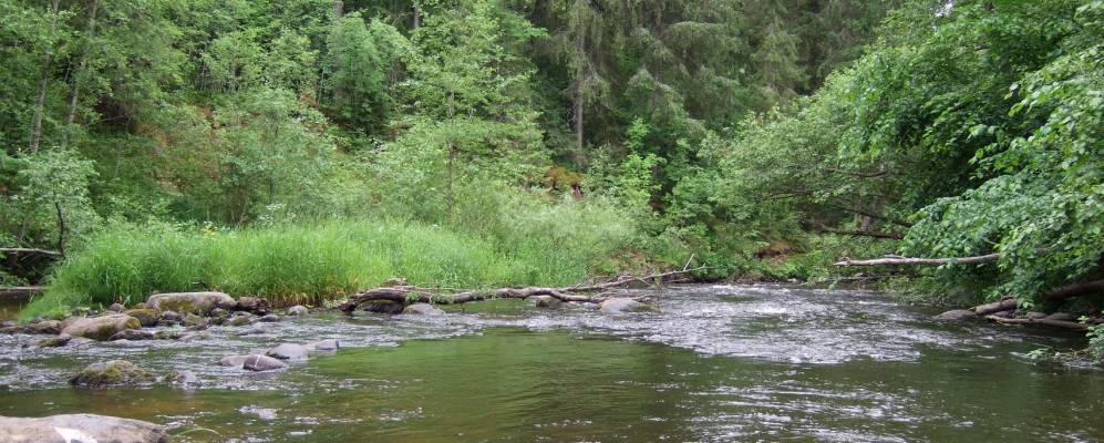 Фотография Зайцево