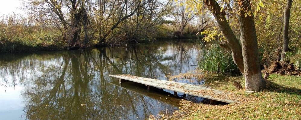 
            Фотография Николаевки