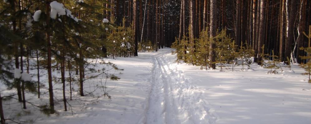 
            Фотография Благовещенского