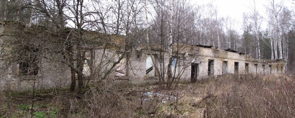 
            Фотография Петухово