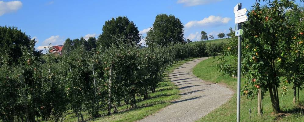 
            Фотография Нонненхорна
