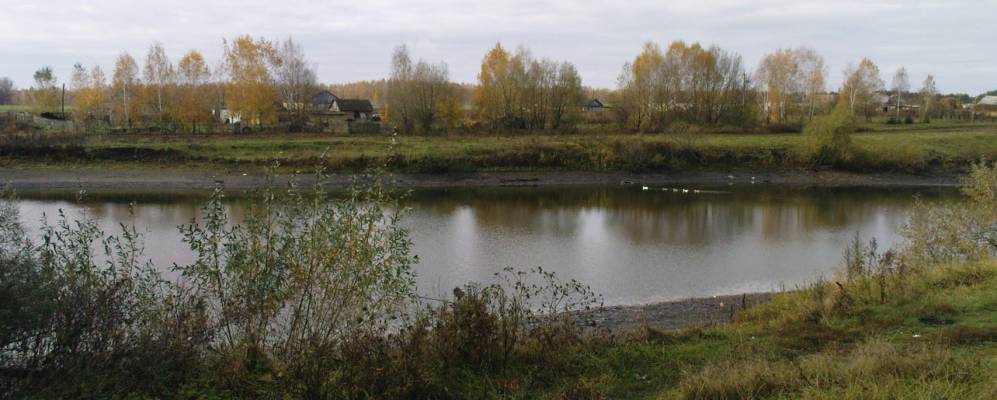 
            Фотография Рощи