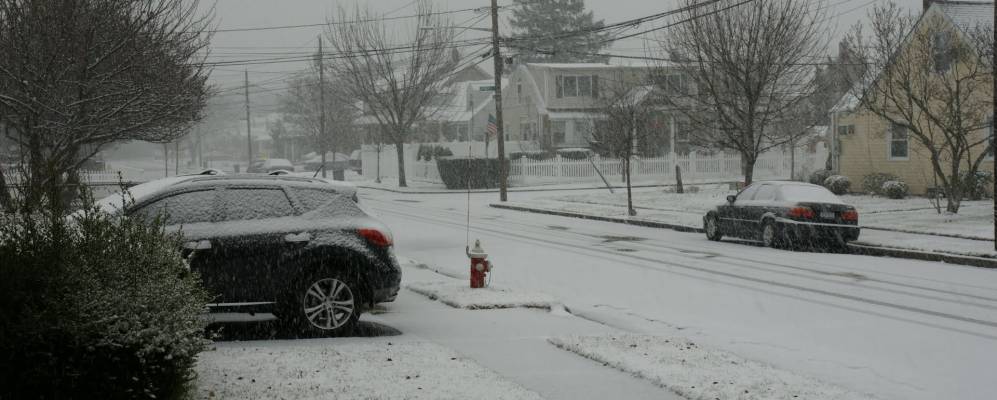 
            Фотография Плэйнедджа