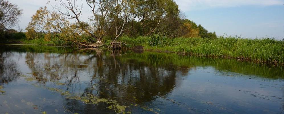 
            Фотография Колодницы