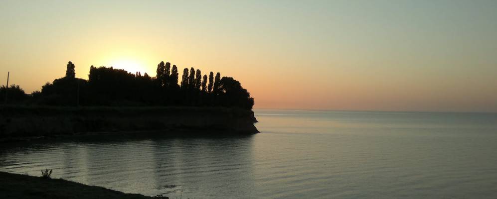 
            Фотография Капустина