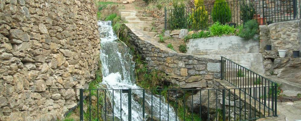 
            Фотография Прульянса