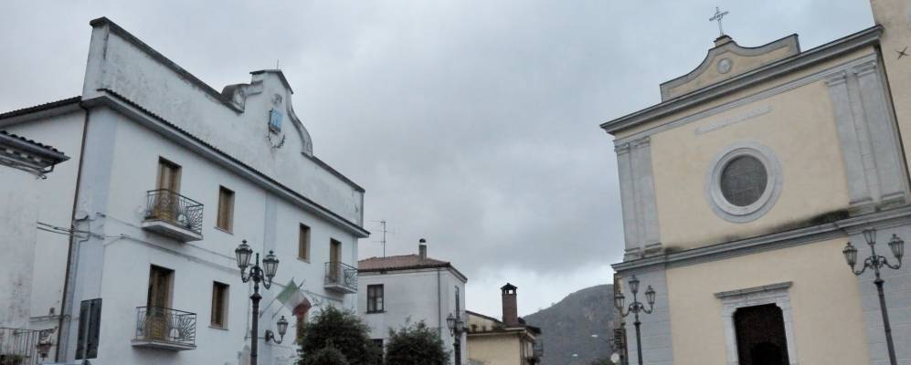 
            Фотография Немоли