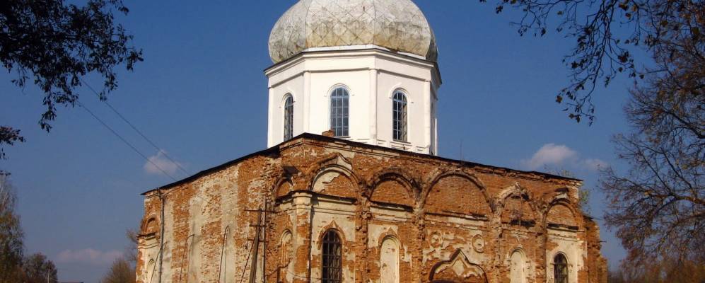 
            Фотография Могрицы