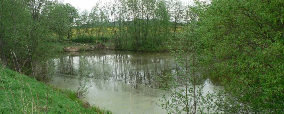 
            Фотография Тимово