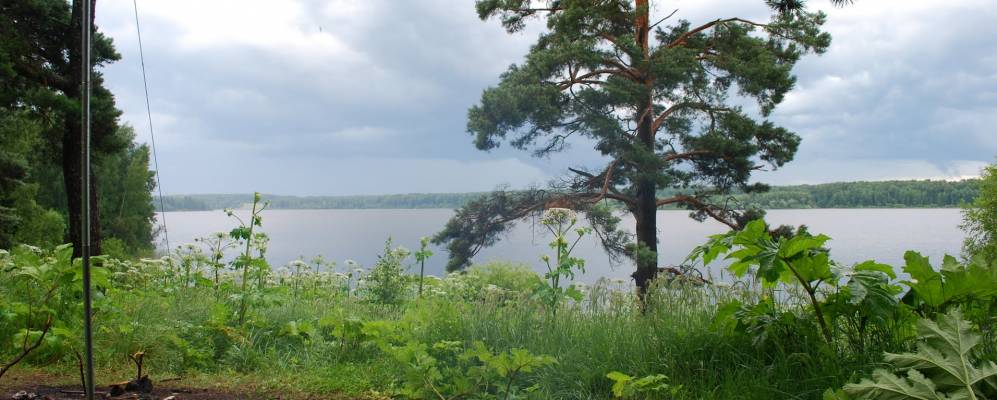 
            Фотография Глазово