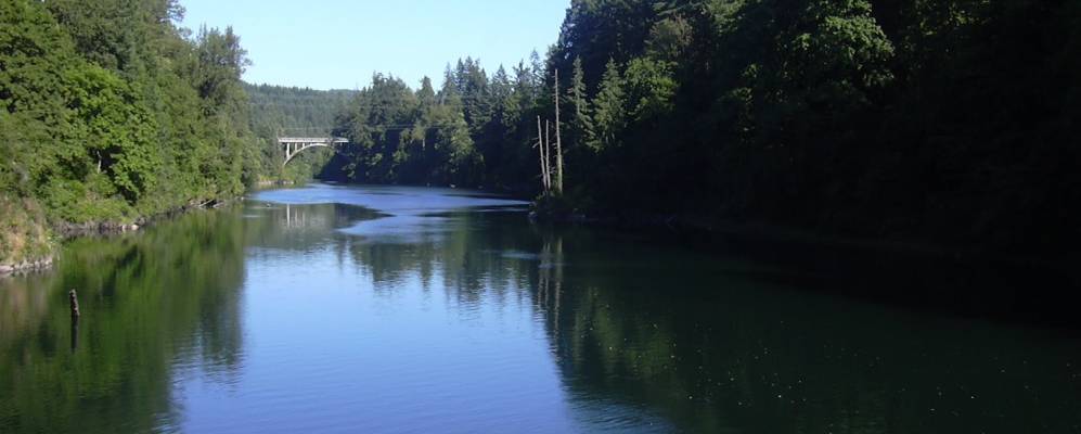 
            Фотография Эстакады