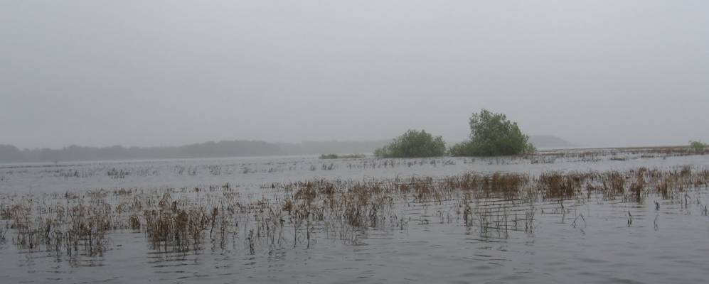 
            Фотография Кудрины