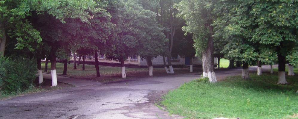 
            Фотография Орлы