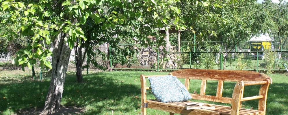 Фотография деревни Тиунцы