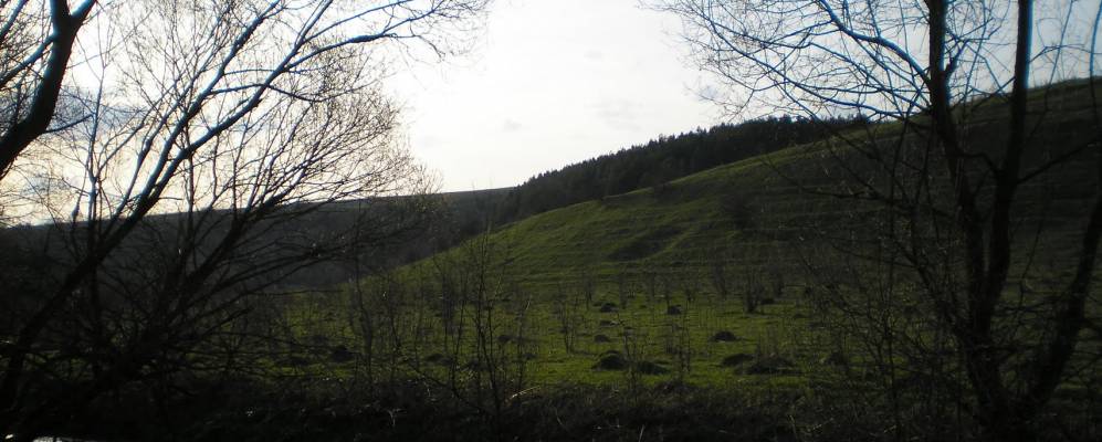 
            Фотография Залесья Первого