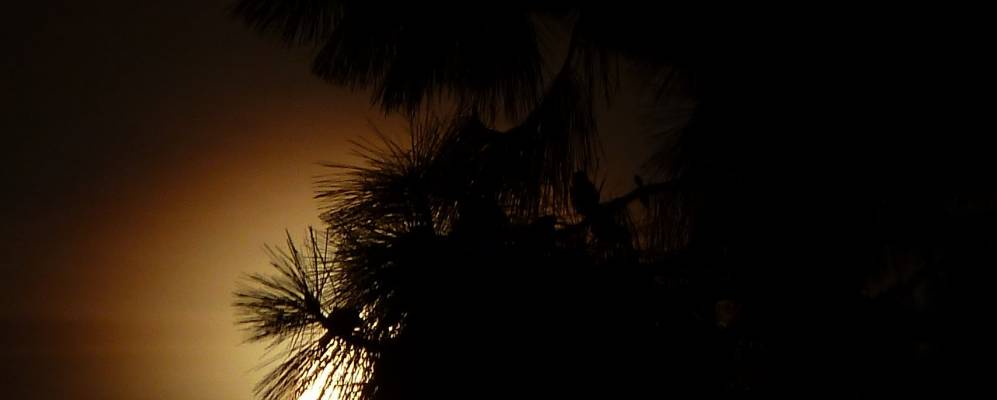 
            Фотография Ной-Изенбурга