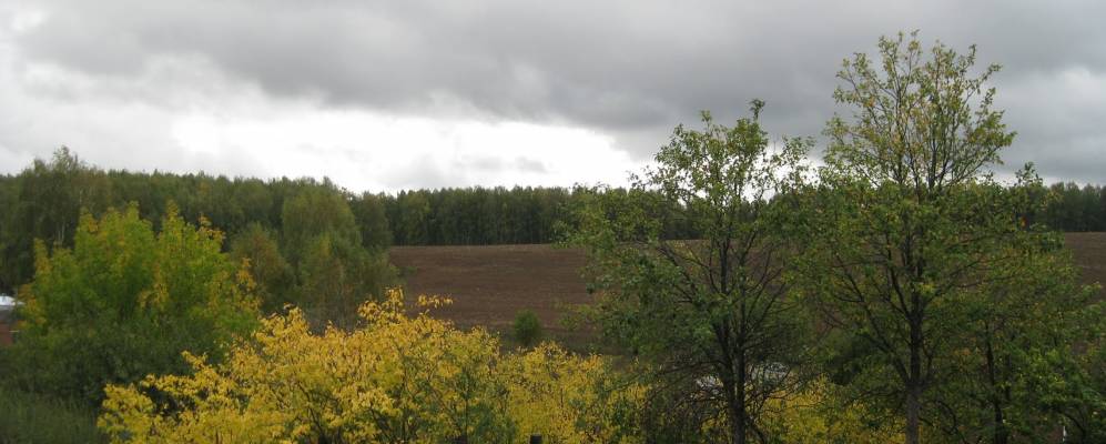 
            Фотография Шишкино