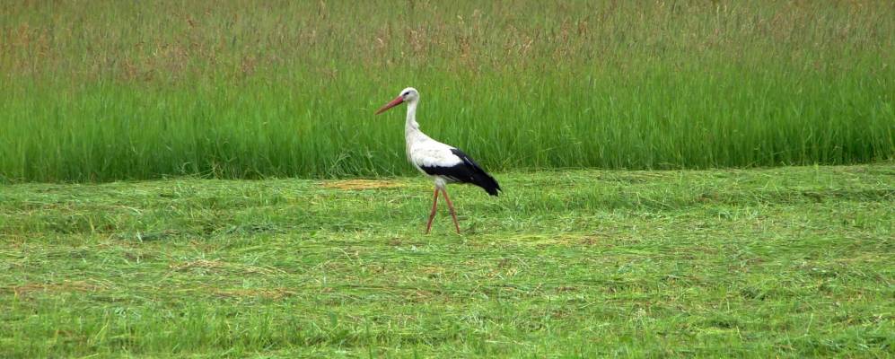 
            Фотография Кубани