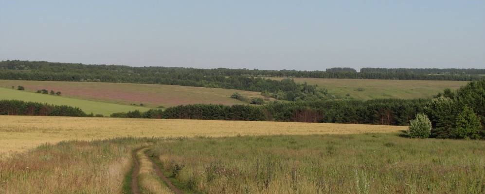 
            Фотография Юрьева