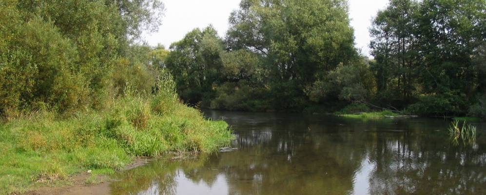 Фотография Гридяков