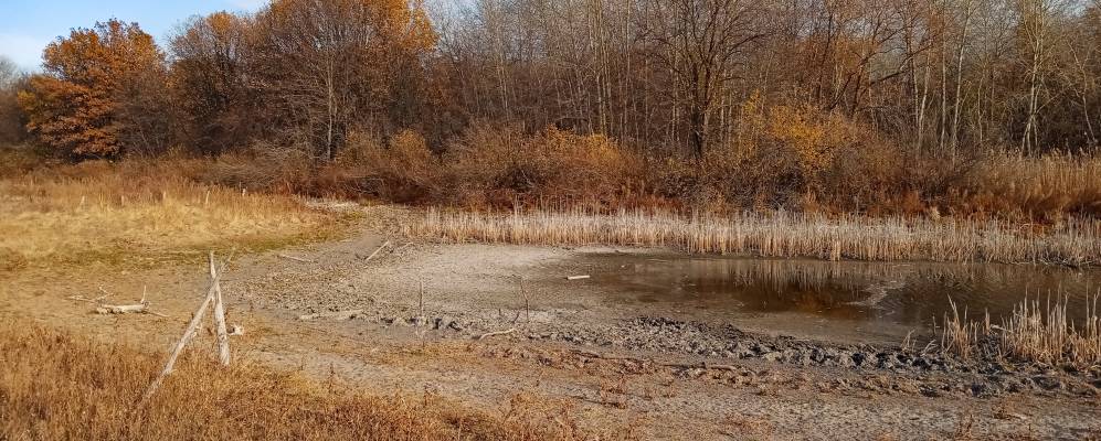 
            Фотография Поляновского