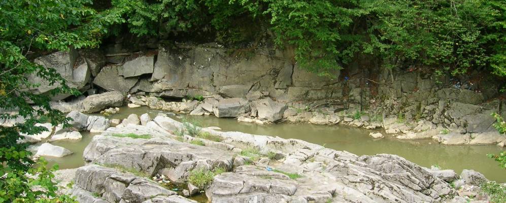 
            Фотография Ялово