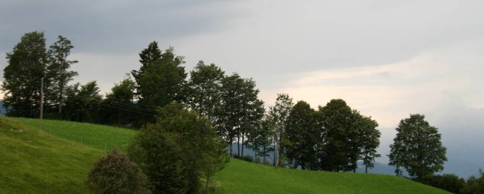 
            Фотография Санкт-Коломана