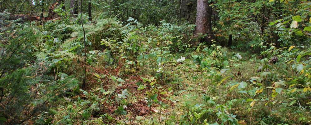 
            Фотография Плотниково