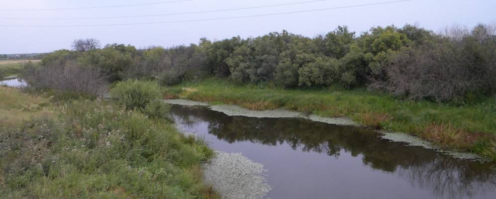 
            Фотография Свидерска