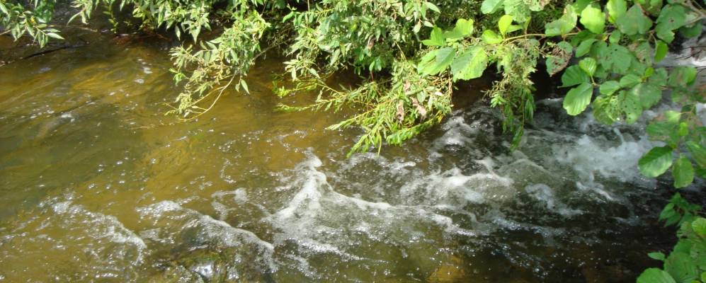 
            Фотография Первомайского