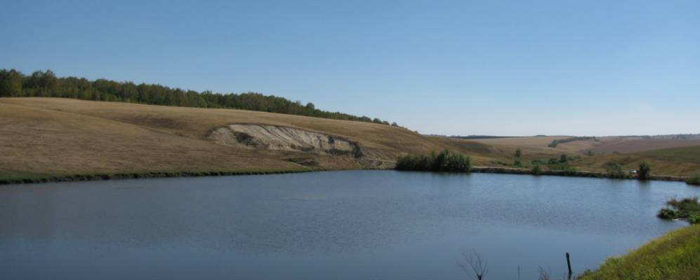 
            Фотография Боровки